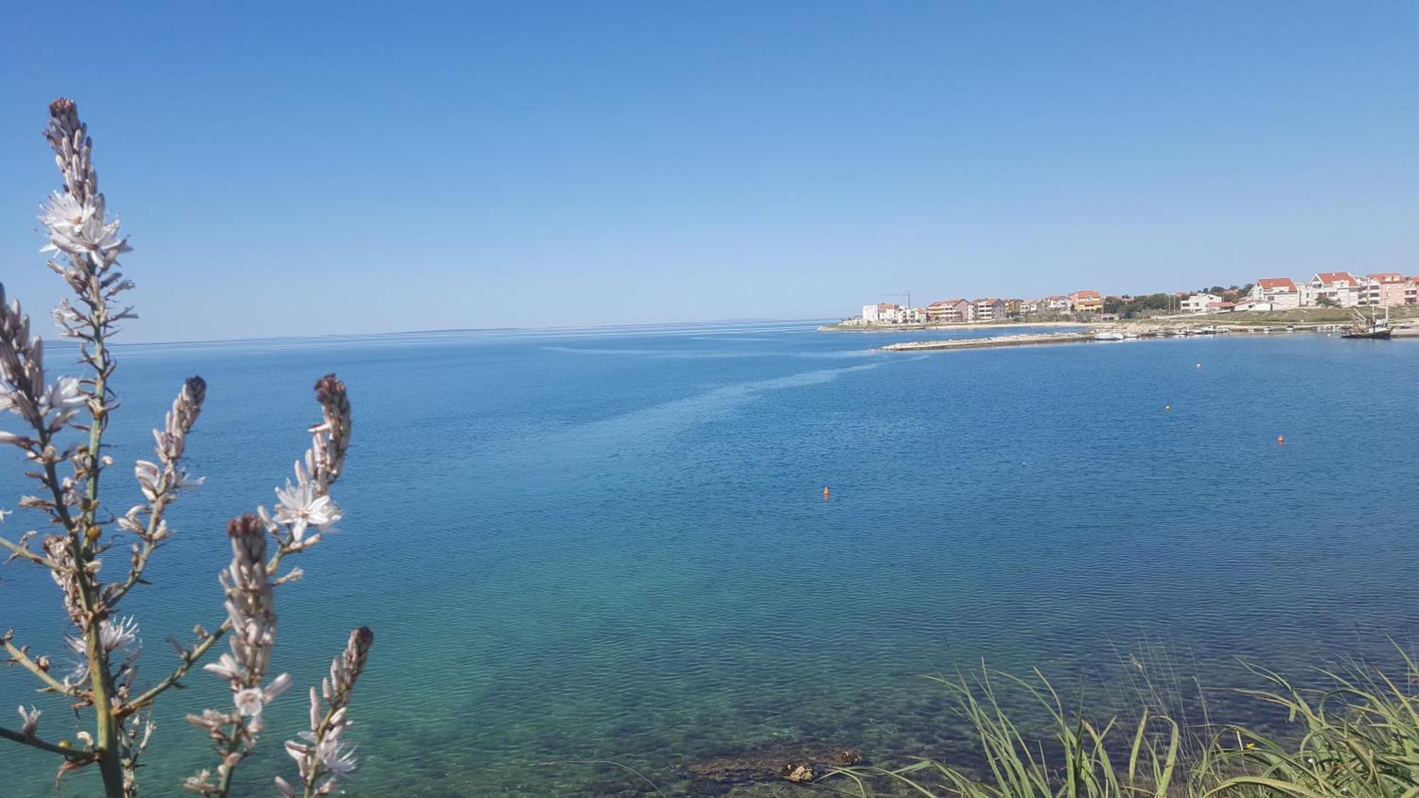 Appartamento Zagi Povljana Esterno foto